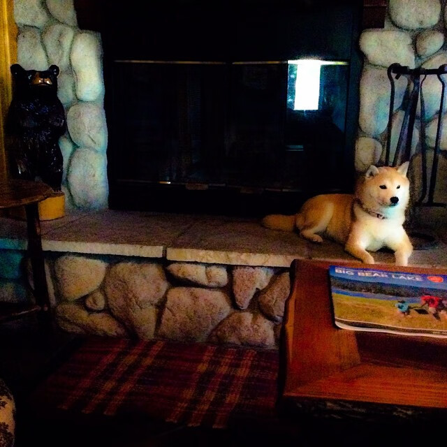 NBA比赛中团队沟通效率提升，nba团队配合集锦