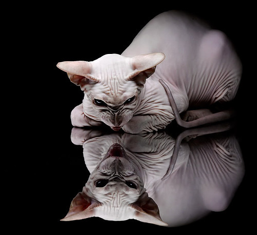 乐鱼体育APP官方下载-北京首钢迎赵睿训练 球迷热情高涨，北京首钢队赵梓壹